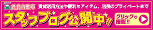 クルマに乗るなら賃貸自動車 賃貸活用方法や便利なアイテム、店長のプライベートまで スタッフブログ公開中!! クリックで確認!!