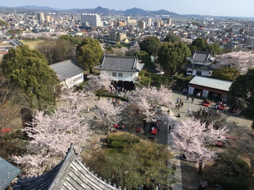 犬山城