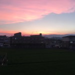 IMG_3728