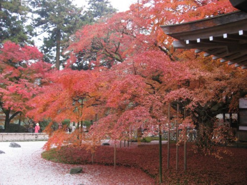 雷山千如寺