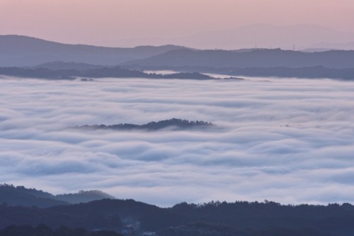 弥高山の雲海