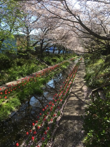 都田川